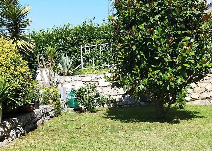 Olivi E Relax * Malcesine